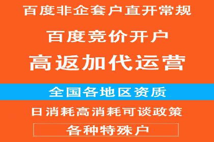 百度SEO推广策略调整：一个成功的调整案例